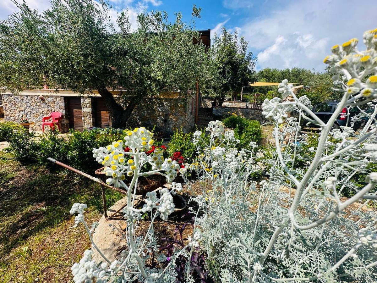 Villetta Starza Marina di Camerota Exterior foto